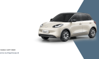 wuling binguoev