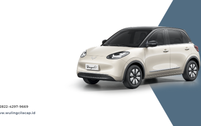 wuling binguoev